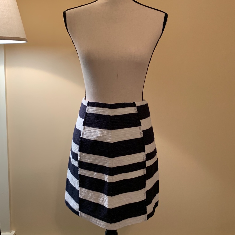 Navy Striped Mini Skirt